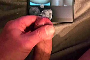 mark bored tribute to pasticcioni