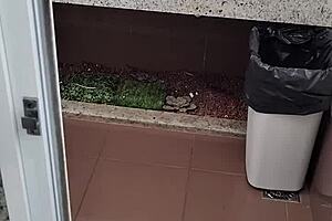 public bathroom scene with solo masturbation