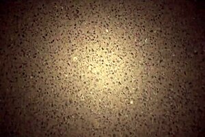 Big Tits Star Krystal Swift Public Orgy Through Car Window