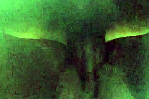 Wet Pussy Talks About Intense Doggy Style Pleasure