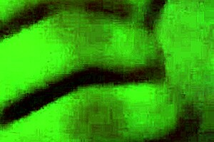 she's sucking that monster cock