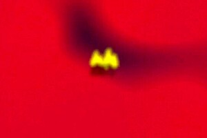 Caroleta Roots Showcases Big Ass in Amateur Scene