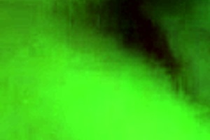 she's sucking that monster cock