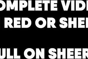 In the usa, a submissive teen gets fingered and fucked by a stranger in ripped lingerie