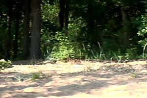 Четыре девчонки в лагере и играют дико друг с другом