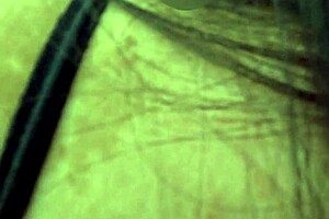 maria angela casting hermosa culona casi sugarbaby