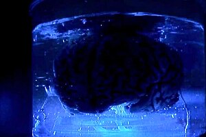 Weird porn 4k group sex with milf moaning and wet pussy orgasms