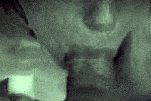 Mrs. Quinn, The Disgruntled Housewife, Deals With Daily Struggles