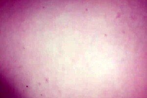 petite 18+ girl gets a big cock handjob with cumshot on her interracial booty