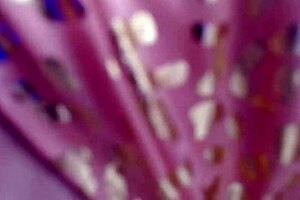 dawnskye1962 lets you explore my sexy body 😘