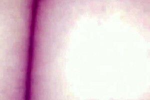 Bbw rev cowgirl rides fat ass