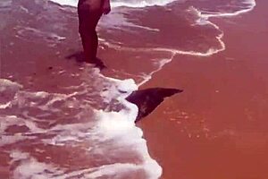 African Young Flashes on Beach Exhibition