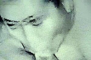 horny housewife craves two cocks at home