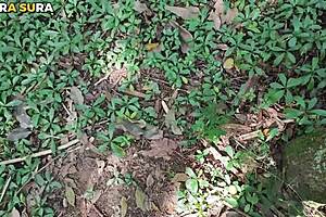 if you saw me alone in the woods what would you do with me? 😈