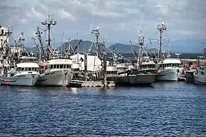 Summer vlog with Asian ladyboy Lexi Faith outdoors in pantyhose and stockings.