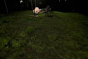 Public outdoor creampie in the forest with doggystyle and dildo orgasm 😍