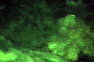 Levei Gozada Na Boca Várias Vezes