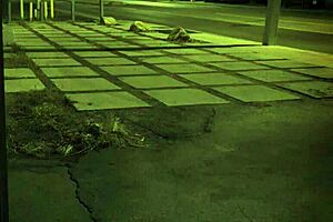 Asian Step Sister Seduced For Intense Doggystyle