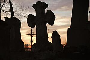 La Petite Blonde Masturbates With Toys In Lingerie