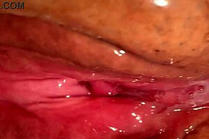 asian couple's homemade sex with her shaved wet pussy, just 172 days post-virginity.