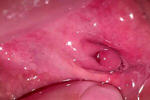 asian couple's homemade sex with her shaved wet pussy, just 172 days post-virginity.