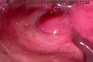 asian couple's homemade sex with her shaved wet pussy, just 172 days post-virginity.