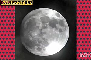 Hugomontador Fucks A Hot Trans Woman!