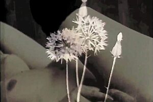 exploring vintage secrets in retro style