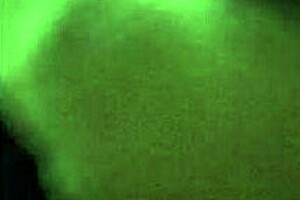 una tocadita de mi panocha latina