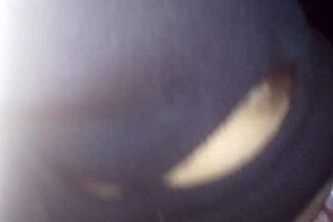 muy rico delivers his milk in part 2 final