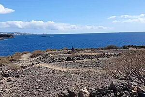 Public Pissing Teen 18+ Risks a Bold Blowjob While Camping