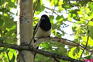 Haley Reed and Kyler Quinn at Uncle's Summer Camp