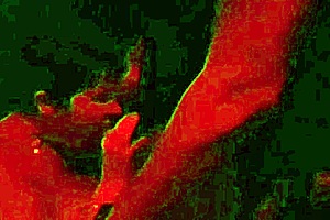 paguei boquete a noite toda com milf madura