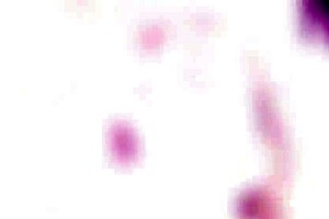 4on1 Classic With Julia Red Balls Deep Anal Dap Farts And Swallow Gio1354