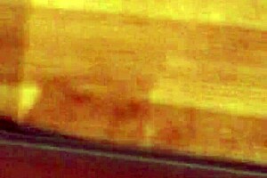 Found My Friend's Dildo And Used It In Secret