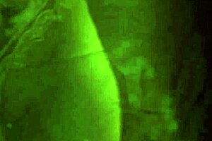 Indian Beauty Seduces With Dance