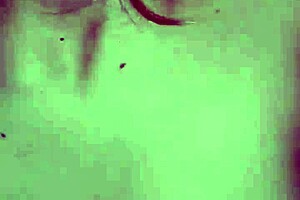 i love getting pounded doggystyle with that huge cock