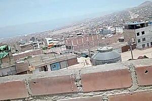 我给你我的逼，还卖给你房子，交易，我发誓我超级好操，用口交说服你