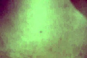 Latina eats ebony ass on sao joao