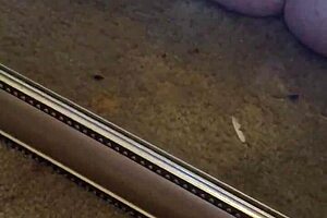 inserting anal plug and using g-spot vibrator for pleasure