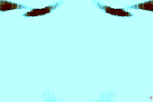 mexytarte casting gdl interview