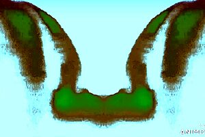 mexytarte casting gdl interview