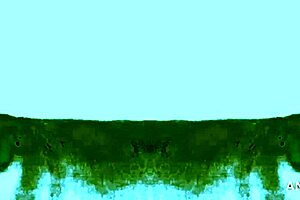 mexytarte casting gdl interview