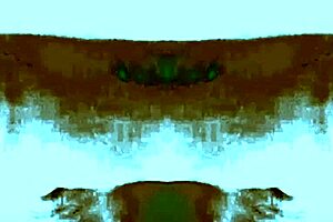 mexytarte casting gdl interview