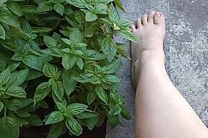 gretala lets juicy pussy air out in the courtyard?