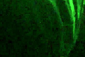 Boldly Licking Ebony's Big Clit Pussy