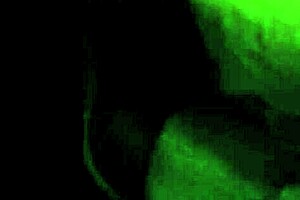 Amateur ebony sucking dick, what a great blowjob! 😍