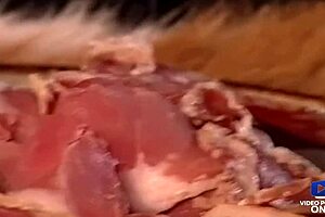 dolly golden blonde gets her big tits ass fucked by friend's husband