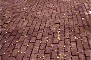 incredible lost adventure leads to fucking a pretty young slut!