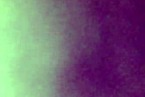 Wet pussy and asshole bent over in doggystyle